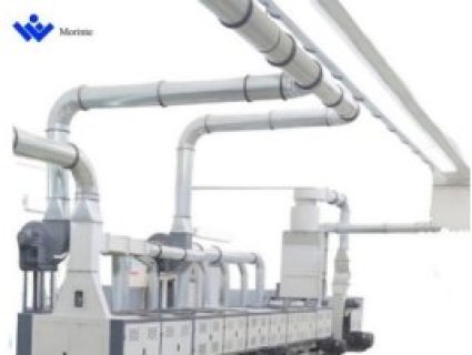 The "Chinese Solution" for Green Transformation